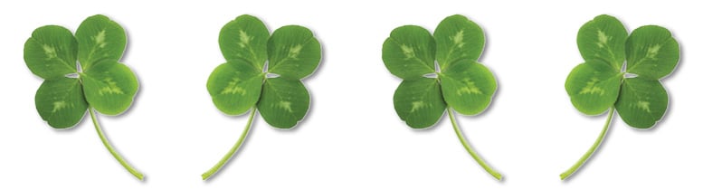 four-leaf-clover four-leaf-clover